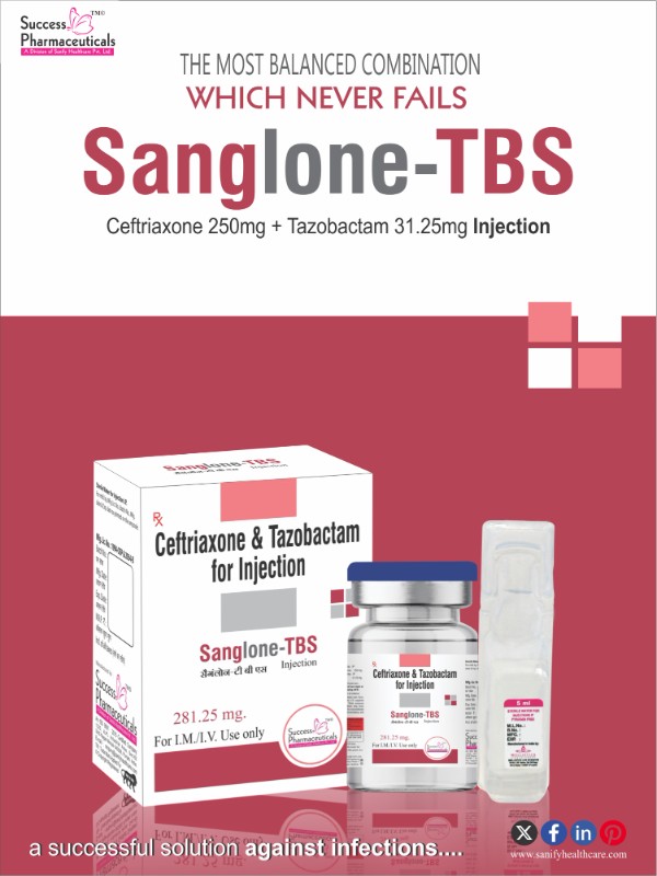 Sanglone TBS