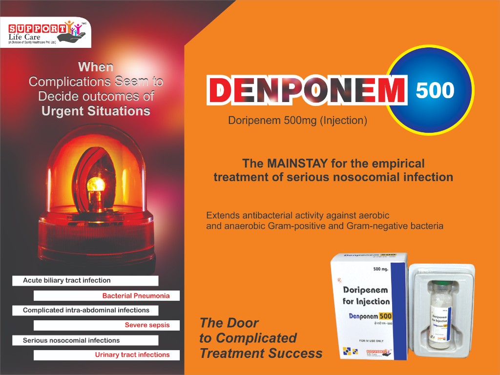 DENponem-500