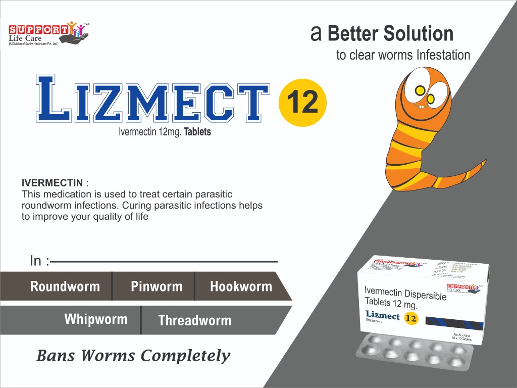 LIZMECT-12 Visual