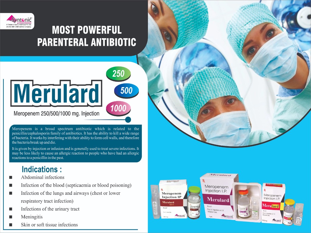 MERUlard-250 Visual