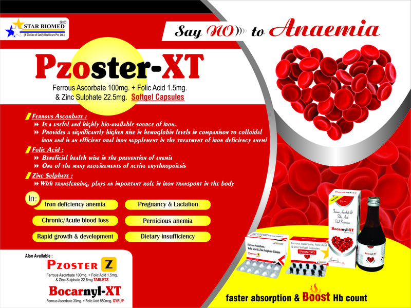 Bocarnyl-XT Visual
