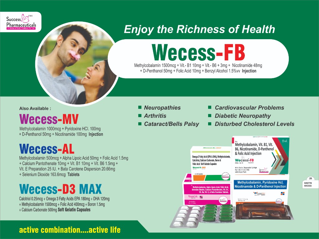 Wecess-D3 Max Visual